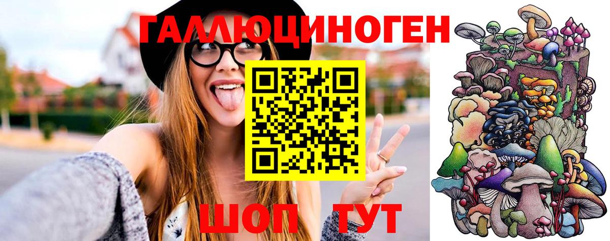 Галлюциногенные грибы ЛСД  Вход с VPN  Галлюциногенные грибы ЛСД  Керчь 
