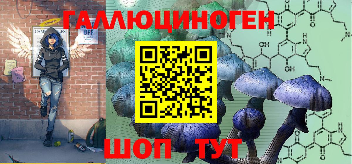 Псилоцибиновые грибы мицелий Керчь