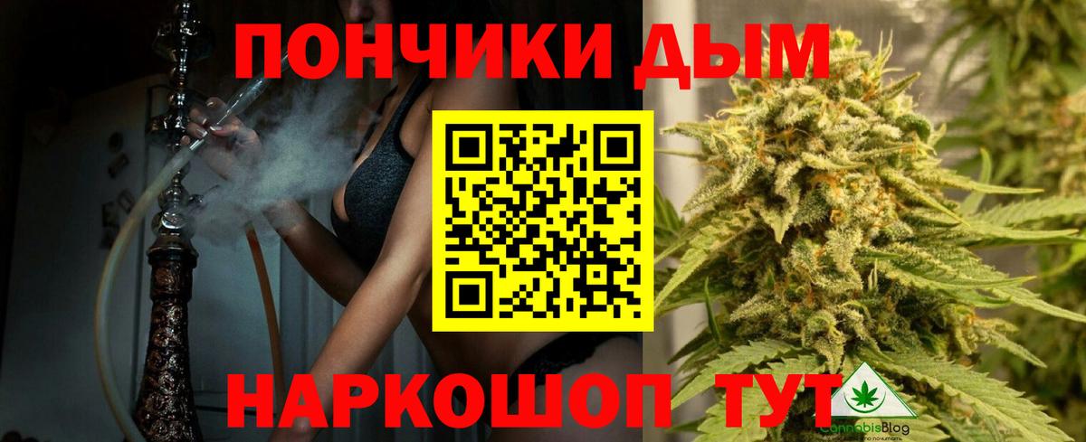 Бошки Шишки конопля  Марихуана Bruce Banner  Каннабис Amnesia  Вход с VPN  Керчь 